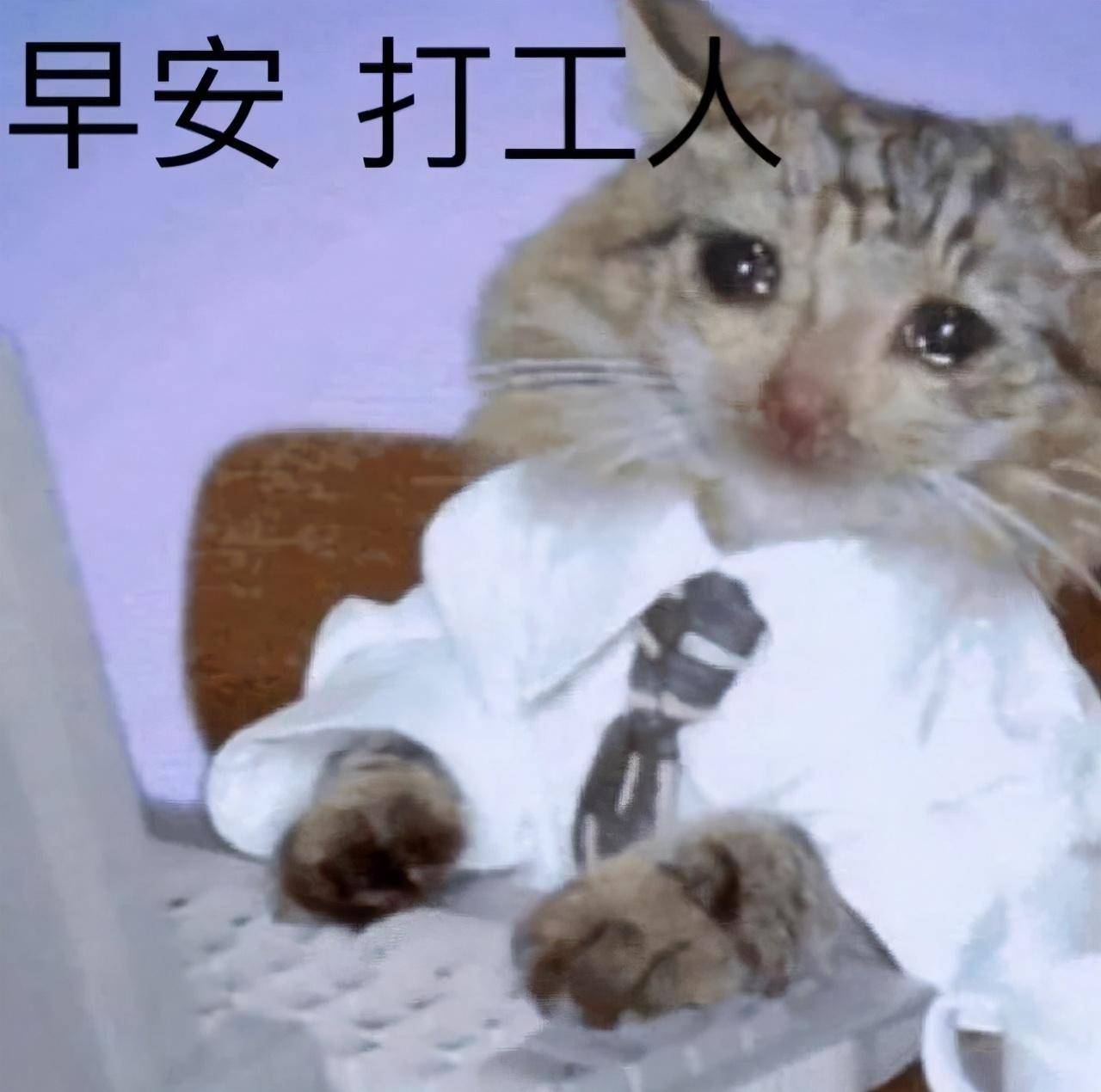 欲钱买东倒西歪的动物打一肖、警惕虚假宣传-全面释义、定量解答解释落实