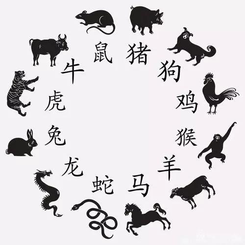 生肖排首位身高一米一兔前虎气凶一二便不同什么数字生肖详细解答、前沿解答解释落实